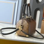 Louis Vuitton Speedy Trunk Bag 25 Monogram Brown 27Cm M26181 - Image 3