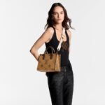 Louis Vuitton Onthego PM Monogram Reverse Brown 25Cm M46373 - Image 9