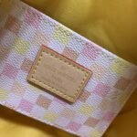 Louis Vuitton Speedy Bandoulière Damier Canvas Peach 20Cm - Image 8