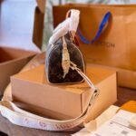 Louis Vuitton Speedy Bandoulière 20 Bag Pink Strap 20Cm M46222 - Image 5