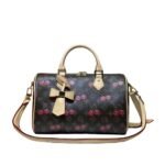 Louis Vuitton Speedy 30 Cherry Brown 30Cm