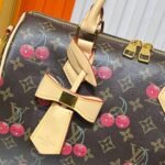 Louis Vuitton Speedy 30 Cherry Brown 30Cm - Image 5