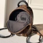 Louis Vuitton Palm Springs Mini Backpack Brown 22Cm M44873 - Image 6
