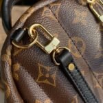 Louis Vuitton Palm Springs Mini Backpack Brown 22Cm M44873 - Image 5