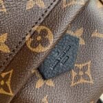 Louis Vuitton Palm Springs Mini Backpack Brown 22Cm M44873 - Image 4