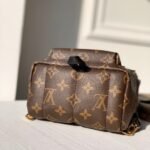 Louis Vuitton Palm Springs Mini Backpack Brown 22Cm M44873 - Image 3