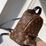 Louis Vuitton Palm Springs Mini Backpack Brown 22Cm M44873 - Image 2