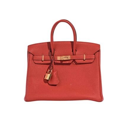 Hermes Birkin 25 Bag Togo Rouge Vermillon 25Cm
