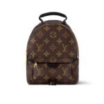 Louis Vuitton Palm Springs Mini Backpack Brown 22Cm M44873