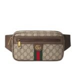 Gucci GG Ophidia Belt Bag Brown 24Cm 574796 97SIT 8747